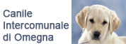 vai a Canile di Omegna