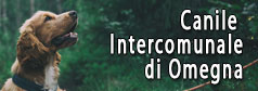 Canile di Omegna